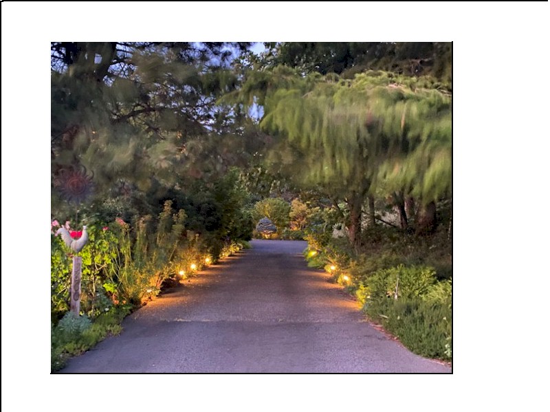 Wellness by Choice Retreat Pacific NW