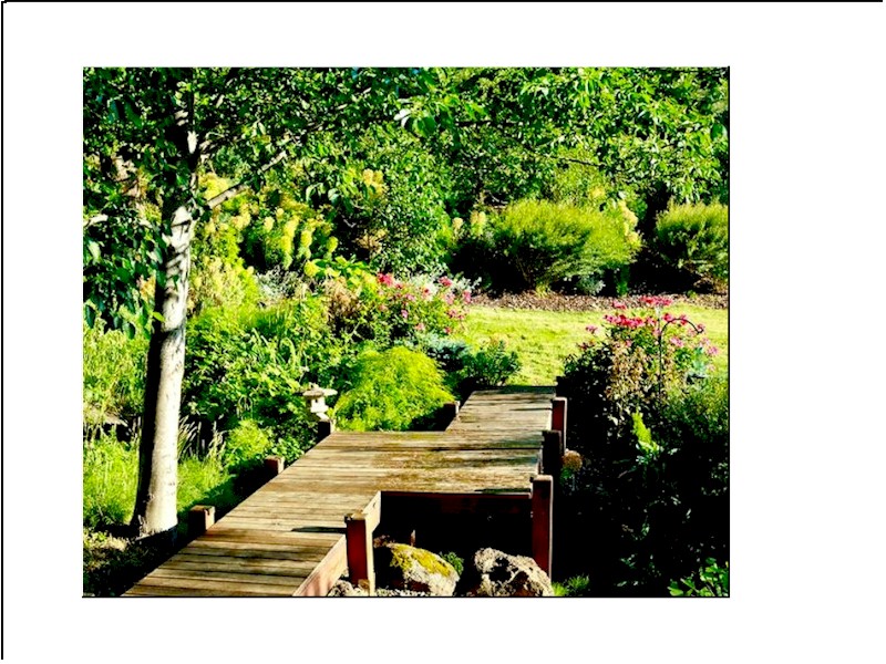 Wellness by Choice Retreat Pacific NW